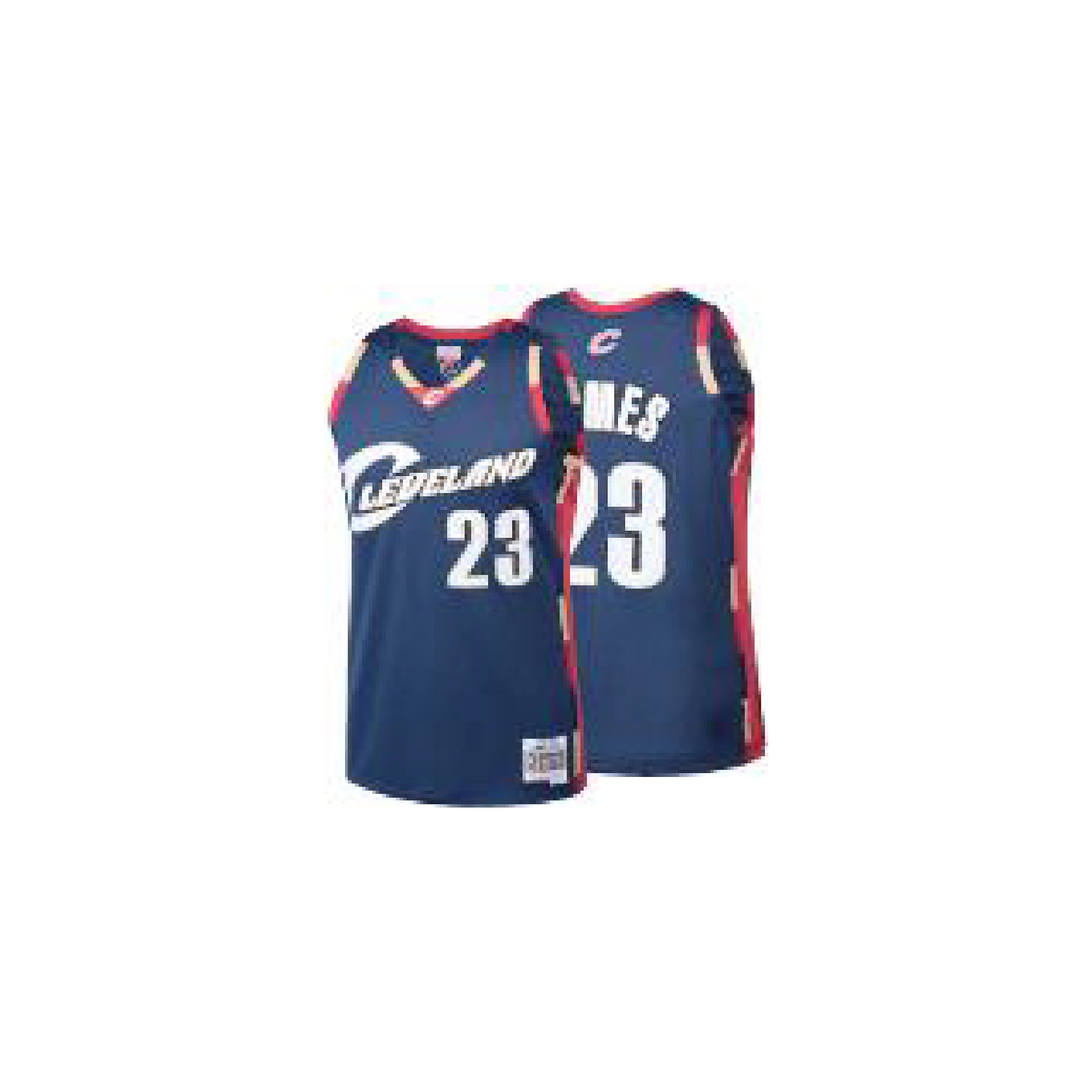  Mitchell & Ness Lebron James 2003-04 Authentic Jersey