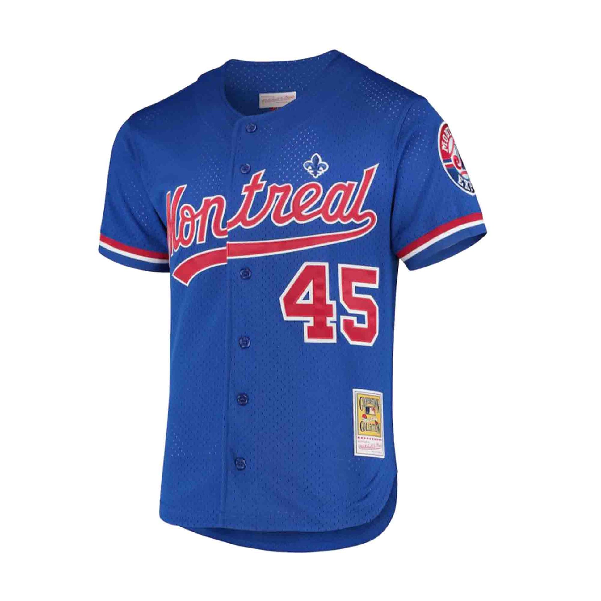 Mitchell & Ness Authentic Vladimir Guerrero Montreal Expos 2002 Button Front Jersey