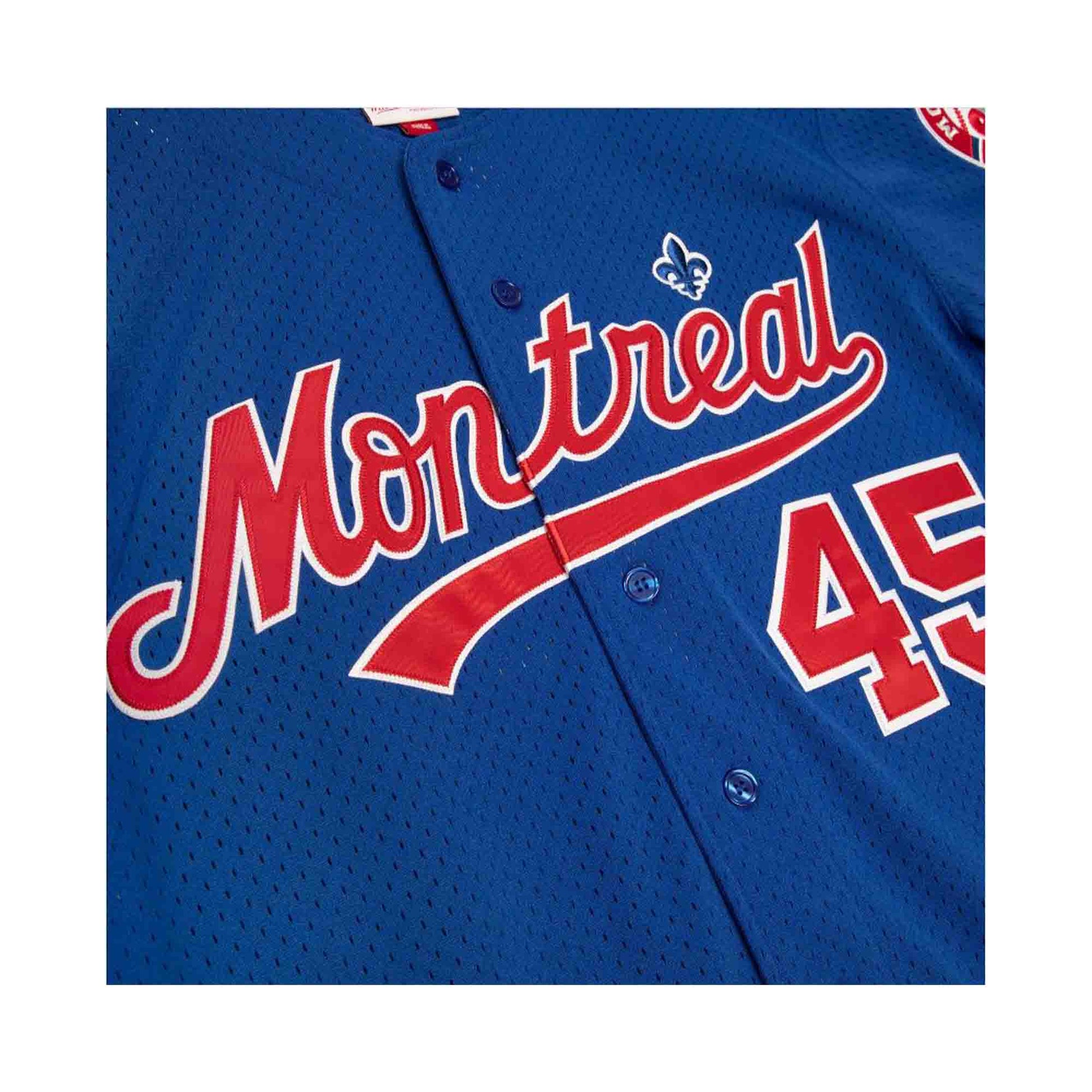 Mitchell And Ness BP Expos #45 Pedro Martinez Blue Throwback Stitched MLB  Jersey on sale,for Cheap,wholesale from China