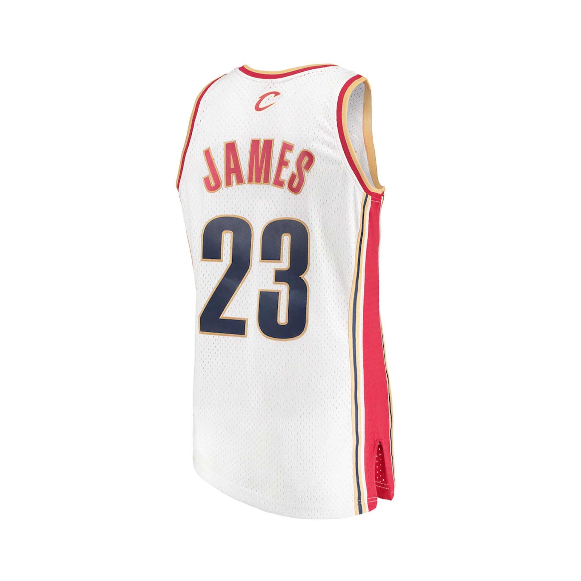 Nike #23 LeBron James The Land Swingman Jersey Cleveland Cavs NBA