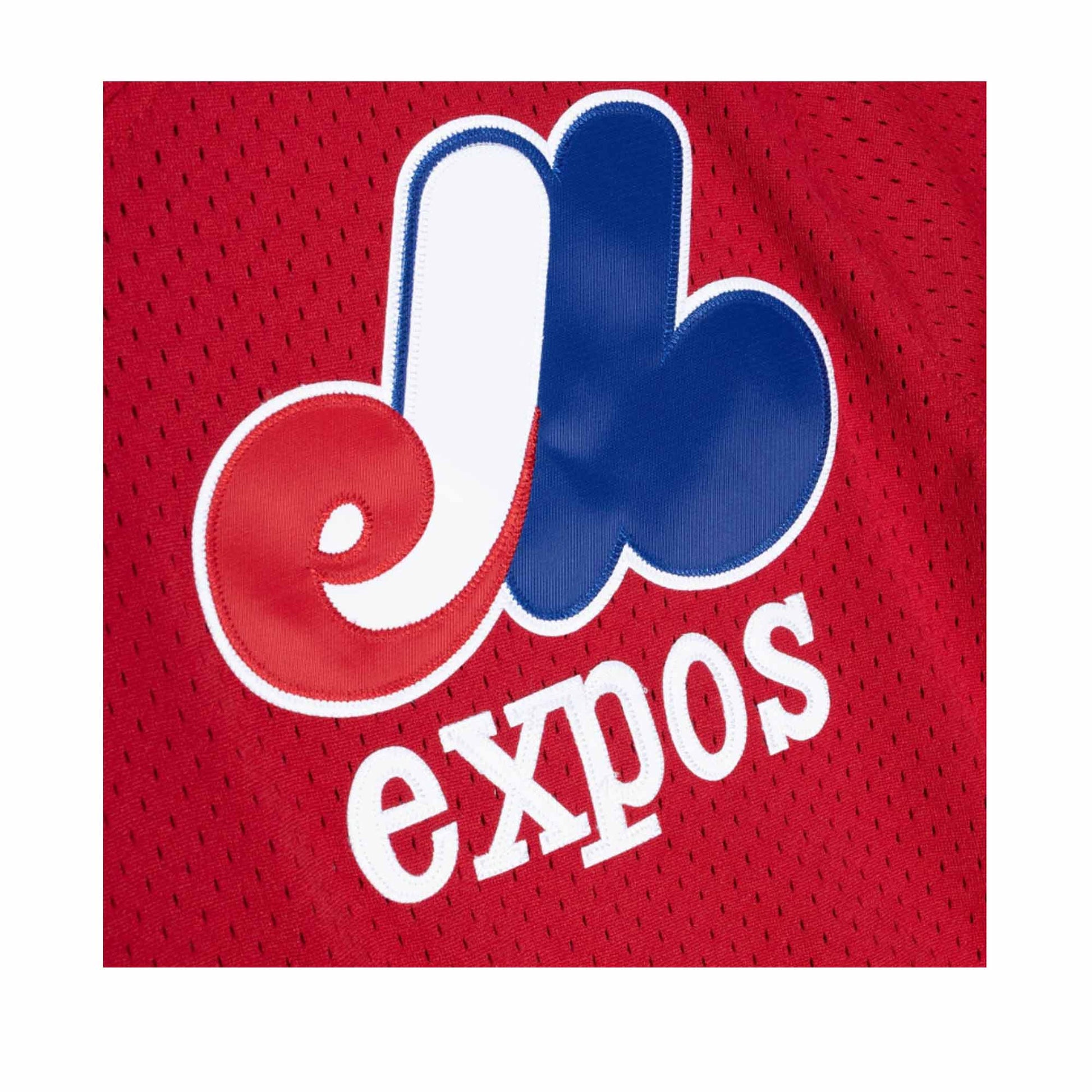 Randy Johnson Montreal Expos MLB Mitchell & Ness Men's Red Authentic B —